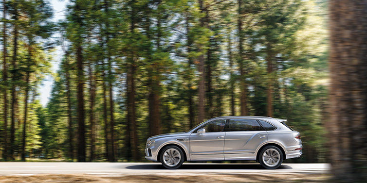 Bentley Zurich Bentley Bentayga Extended Wheelbase SUV in Moonbeam paint driving dynamically on a forest road